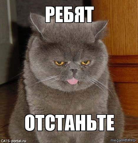 2819043-aARnG.jpg
