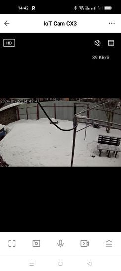 13398490-SFAwl.jpg
