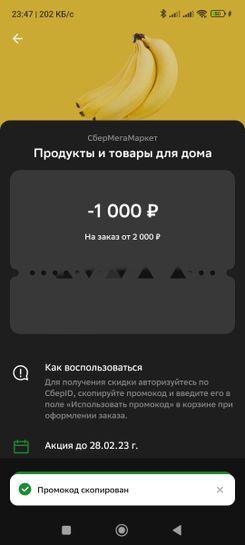 9636441-SQUHN.jpg