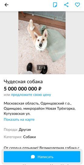 7777025_1.jpg