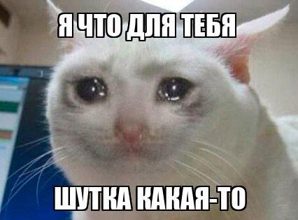 604d333fb1c7e3763c4391bd