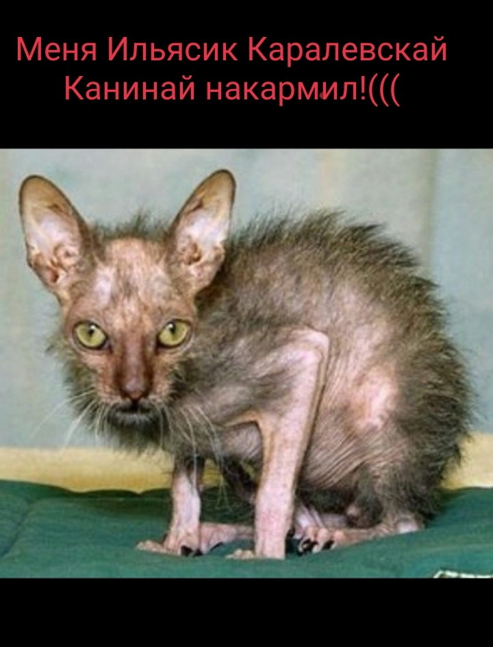 IMG20251015113339