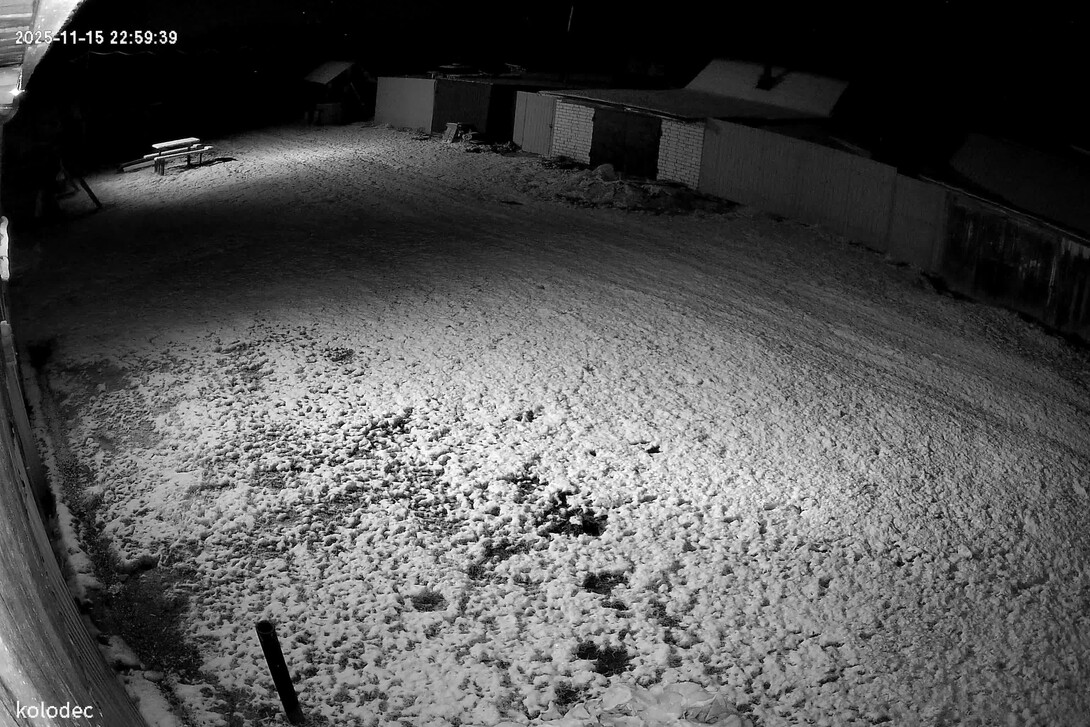 202511160119491763245189613