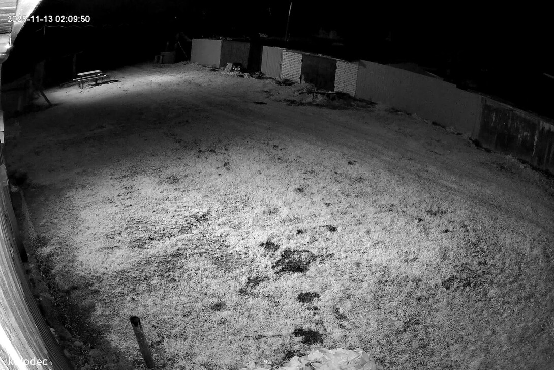 202511160126051763245565976