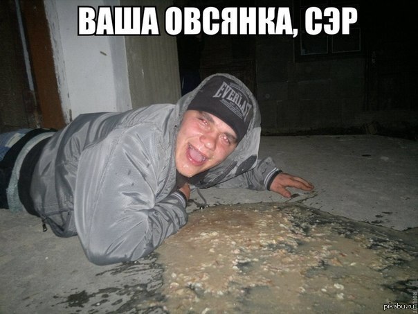 1387291761331021153-2740855257