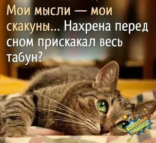 c4438f7a9d6c44f949f369cfad111fd2