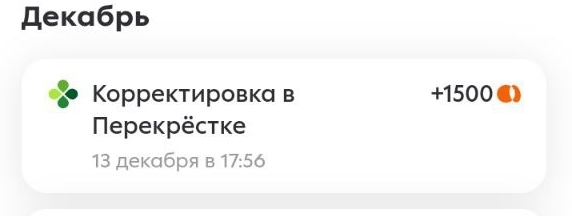 photo2024-12-1321-20-27