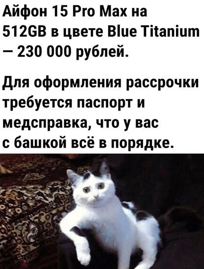11987713-2sVvR.jpg