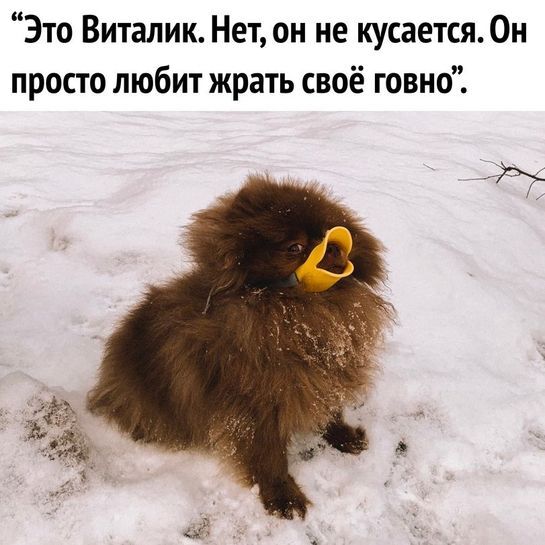12094556-z4O7Y.jpg