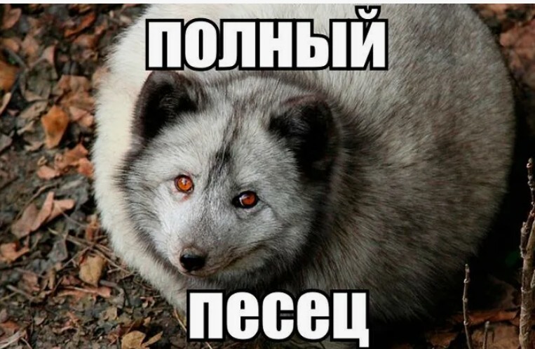 10-01-2025130108