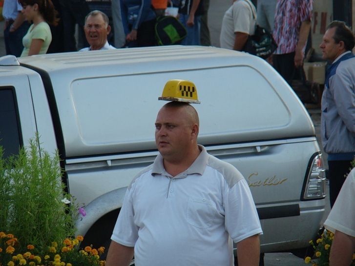 14126250-haLgp.jpg
