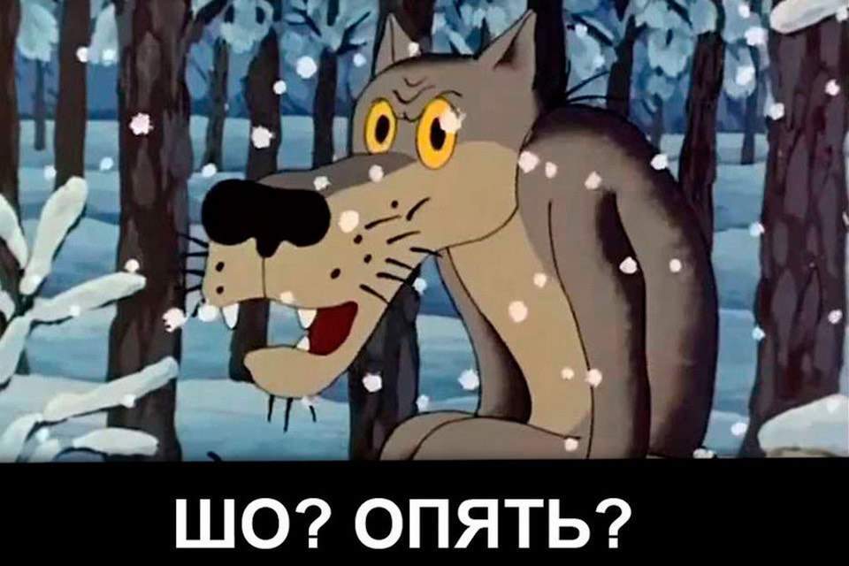 4483292.jpg