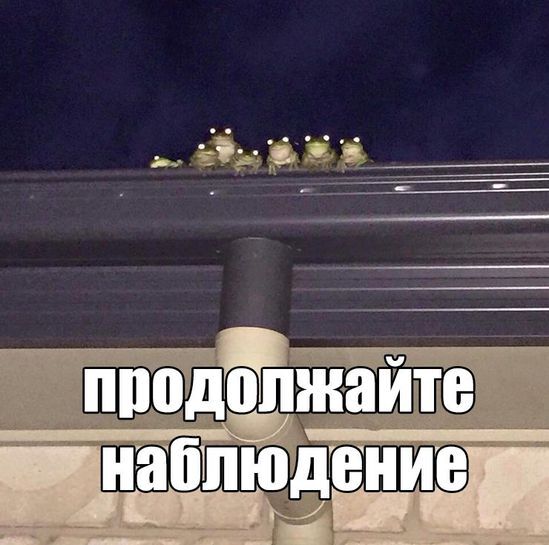 14530262-5ZBbZ.jpg