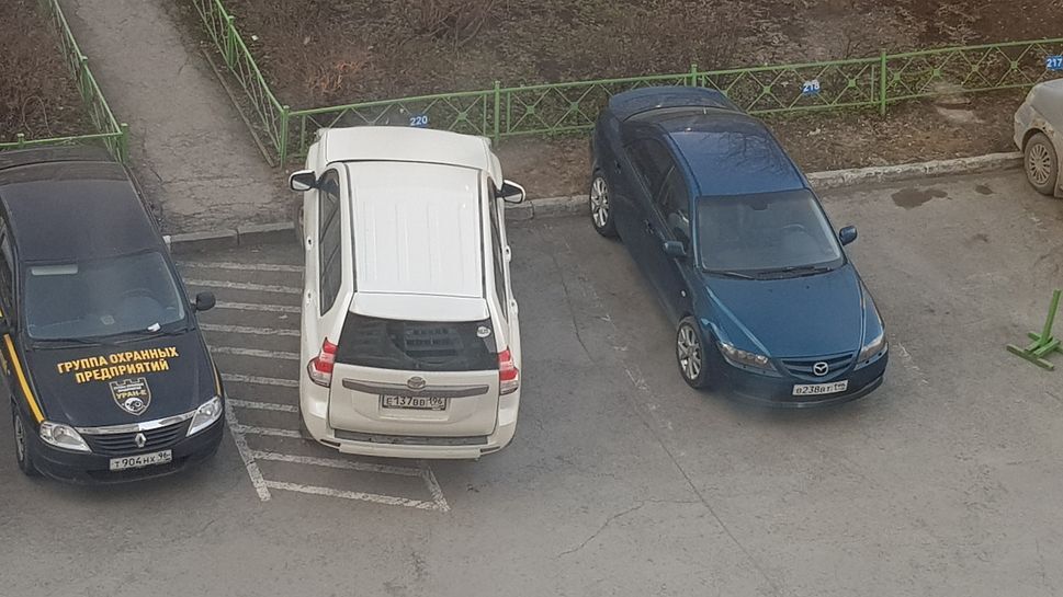 8665015-pw5xN.jpg