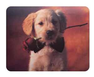 Коврик для мыши Buro BU-M40089 (S), PVC, 230х180х2 мм