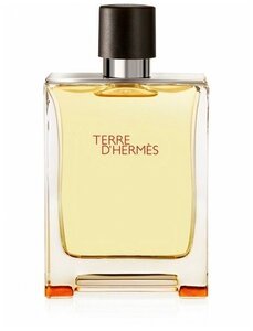 Туалетная вода Hermes Terre d'Hermes 100 мл