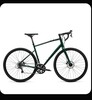 Велосипед Welt 2023 G80 Se Dark Green (См:53)
