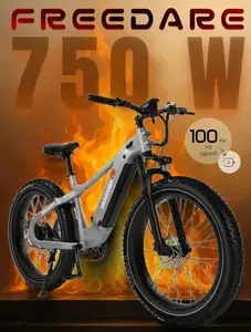 Электровелосипед Freedare 26", 750 w