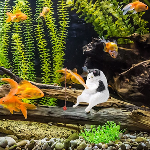 Кот-рыболов (с картой OZON, из-за рубежа)