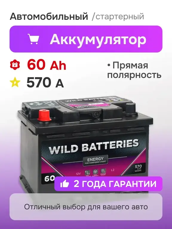 Автомобильный аккумулятор WILD BATTERIES 60 Ач 570 A (с ВБ кошельком)
