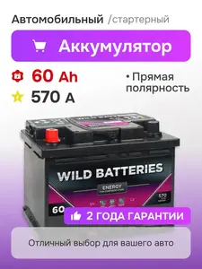 Автомобильный аккумулятор WILD BATTERIES 60 Ач 570 A (с ВБ кошельком)