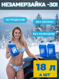 Незамерзайка 18 литров Снежинка (с картой OZON)