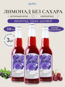 300 бонусов  у продавца натуральных лимонадов "Река"