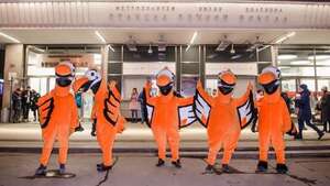 Все федеральные акции ДоДо на конец декабря и январь.