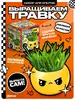 Опыты и эксперименты "Выращиваем травку" (цена с Ozon картой)