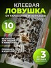 Ловушка для тараканов МОРАКС 10 шт (с картой OZON)