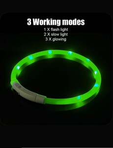 Ошейник светящийся (доставка из-за рубежа)