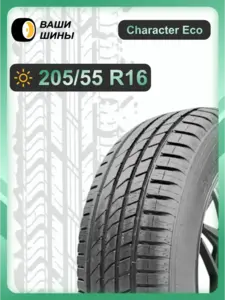 Шины летние Ikon Tyres 205 55 R16 (с макс. кошельком ВБ)