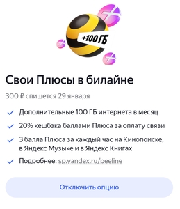 До 300 баллов плюса, если связь билайн и подписка Я.Плюс